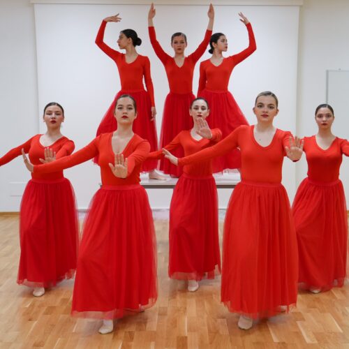 espertitalia_gallery_basadanzearte (41)